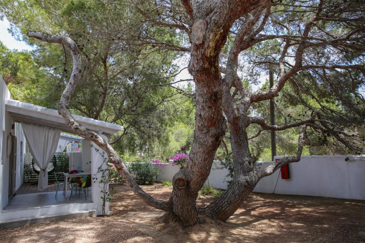 La Hacienda Aparthotel Sant Ferran de Ses Roques Buitenkant foto
